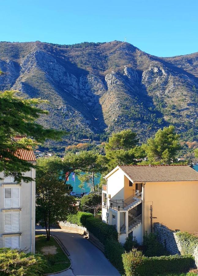The Nest - Urban Family Place Kotor Exterior photo